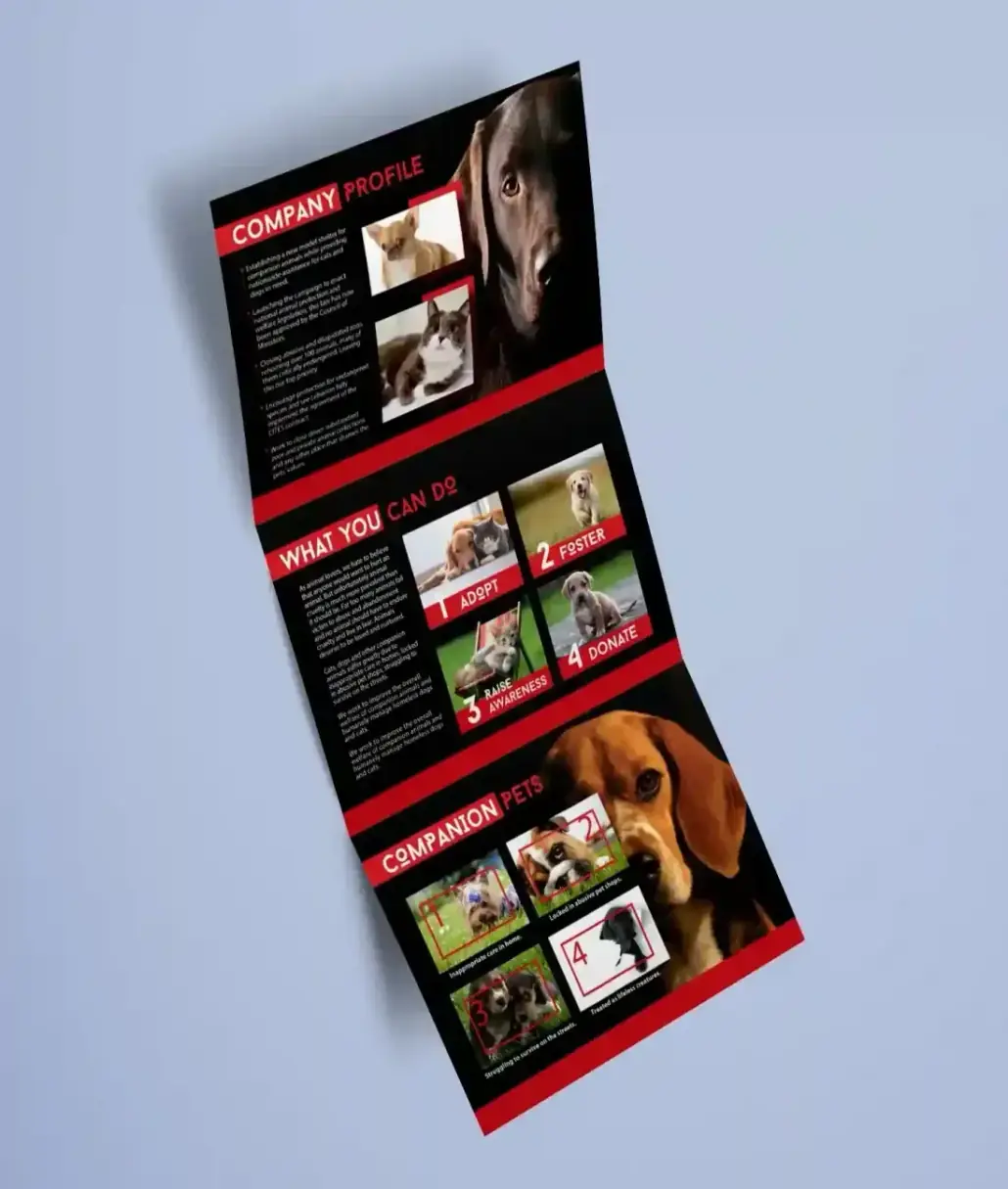 Animals Lebanon Brochure